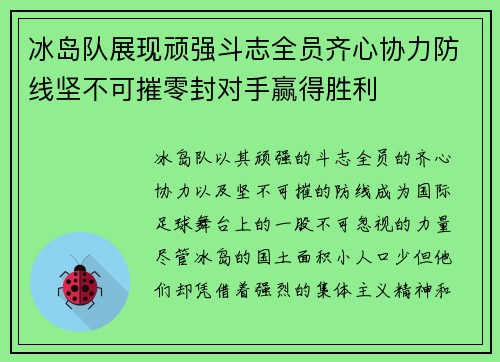 冰岛队展现顽强斗志全员齐心协力防线坚不可摧零封对手赢得胜利